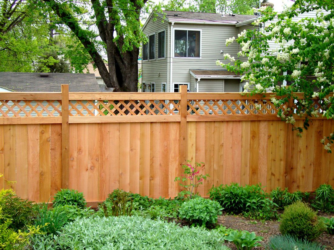 Gợi ý một số mẫu tường rào đẹp và kiên cố cho nhà cấp 4 - Ảnh 9.